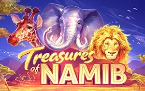 game of Treasures Of Namib