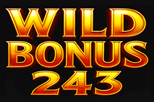 game of Wild Bonus 243