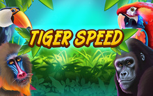 game of Tiger Speed